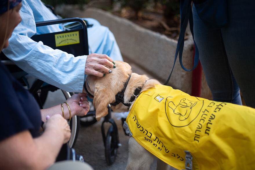 I Took Photos Of Amazing Service Dogs In Training Bring, And They Absolute Joy To Hospital Patients (9 Pics)