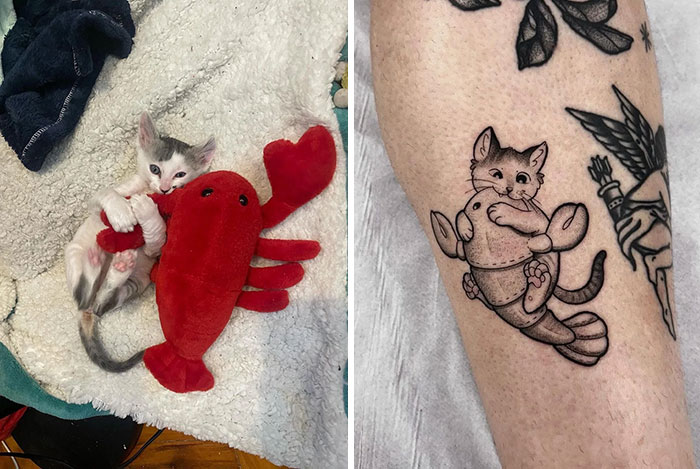 I'm Incredibly Pleased With My Decision To Have My Adopted Cat Tattooed