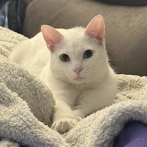 jonathangerow avatar