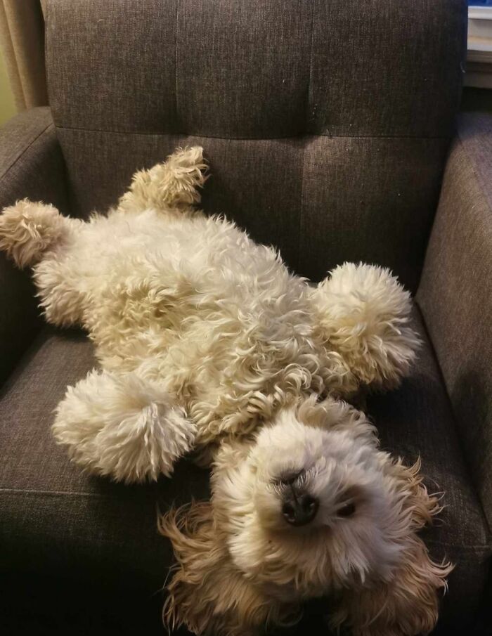 Nothing To See Here,,,