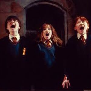 sophiebrown_1 avatar