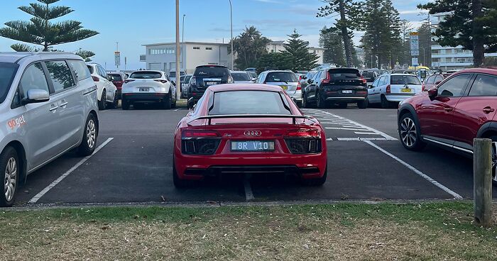 16 Personas prepotentes mostrando cómo son en realidad