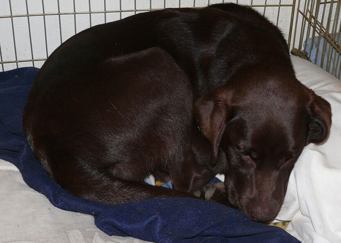 “What Have You Seen Inside Someone’s Home That Made You View Them Differently?” (30 Answers)