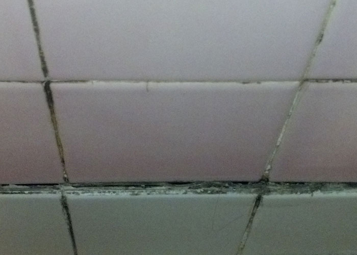 “¿Qué has visto en casas ajenas que te hiciera cambiar de opinión sobre esa persona?” (20 respuestas)