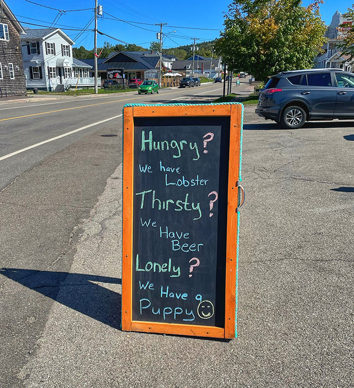 Chalkboard sign outside a bar listing lobster, beer, and a puppy to attract hungry, thirsty, or lonely customers.