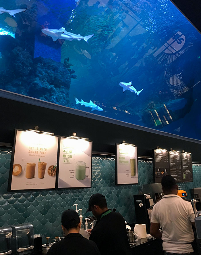 This Starbucks Has A Giant Shark Tank