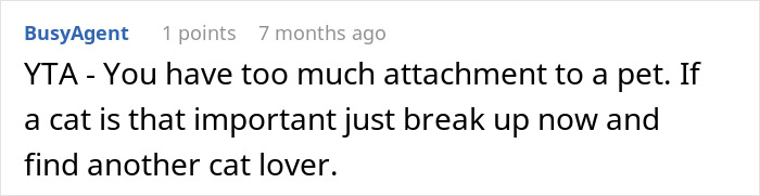 Woman Refuses To Leave Behind Her Cat To Travel Australia For A Year, Gets Dumped