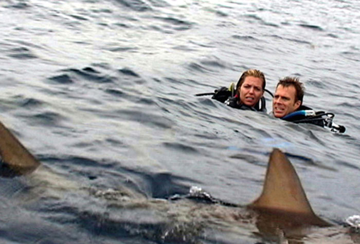 ‘Walked Out 5 Mins In’: 50 People List The Films They Wish They Never Saw