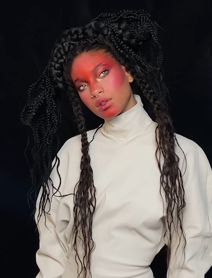 &ldquo;Definitely Because Of Her Parents&rdquo;: People Stunned Willow Smith Claims She&rsquo;s Not A &ldquo;Nepo Baby&rdquo;