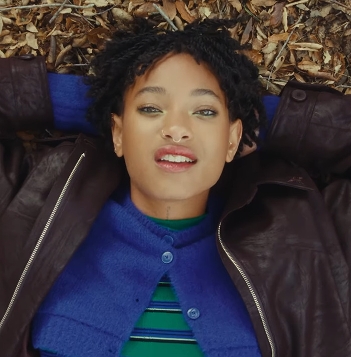 &ldquo;Definitely Because Of Her Parents&rdquo;: People Stunned Willow Smith Claims She&rsquo;s Not A &ldquo;Nepo Baby&rdquo;