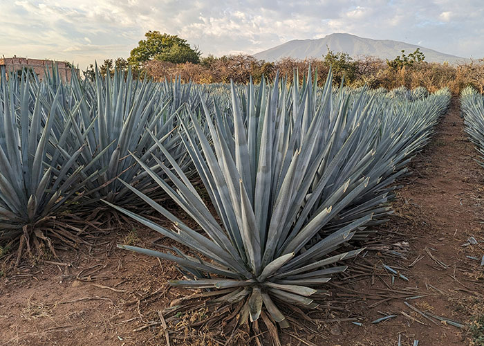 32 New Trends That Are Doing A Lot Of Damage But Many People Don't Realize It