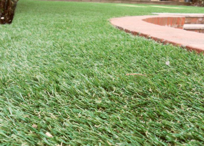 32 New Trends That Are Doing A Lot Of Damage But Many People Don't Realize It