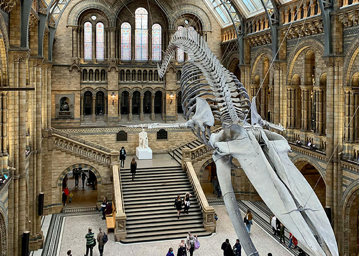 “What Tourist Attractions Are Not Overrated?”: 35 Places That Are Worth The Hype