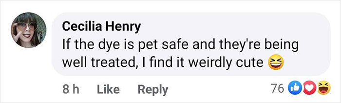 Outrage After Zoo&rsquo;s Panda Exhibit Turns Out To Be Dogs Dyed Black And White