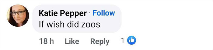 Outrage After Zoo&rsquo;s Panda Exhibit Turns Out To Be Dogs Dyed Black And White