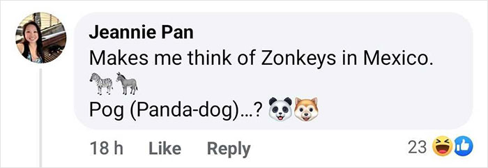 Outrage After Zoo&rsquo;s Panda Exhibit Turns Out To Be Dogs Dyed Black And White