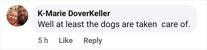 Outrage After Zoo&rsquo;s Panda Exhibit Turns Out To Be Dogs Dyed Black And White