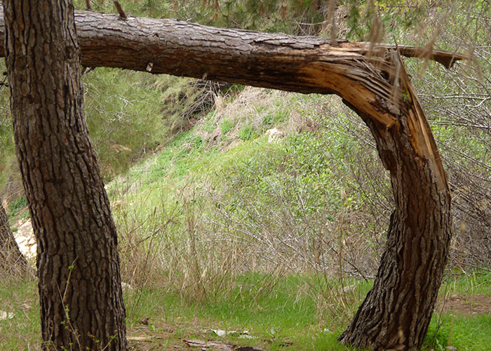 “People Who Escaped Death By Complete Luck. What Happened?” (30 Answers)