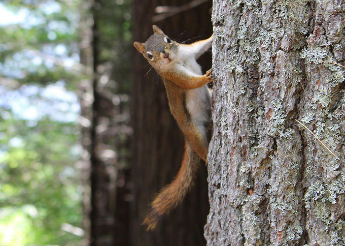 “People Who Escaped Death By Complete Luck. What Happened?” (30 Answers)