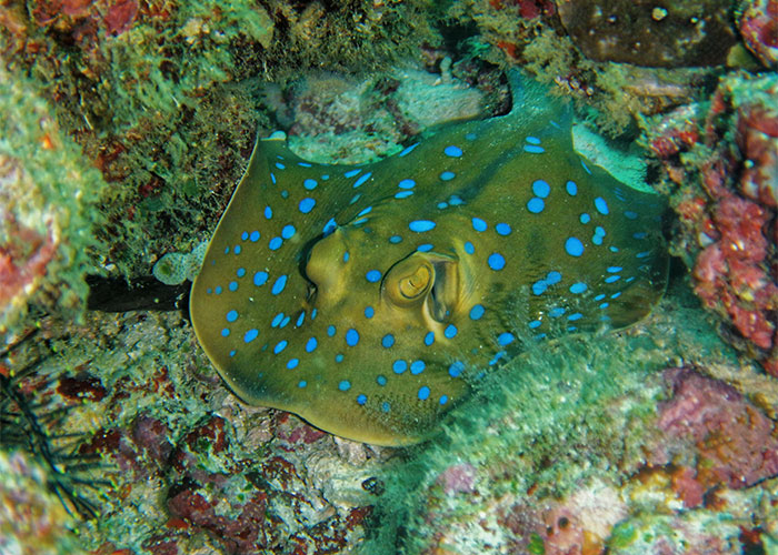 50 Things That Made People So Angry They Never Forgot About Them