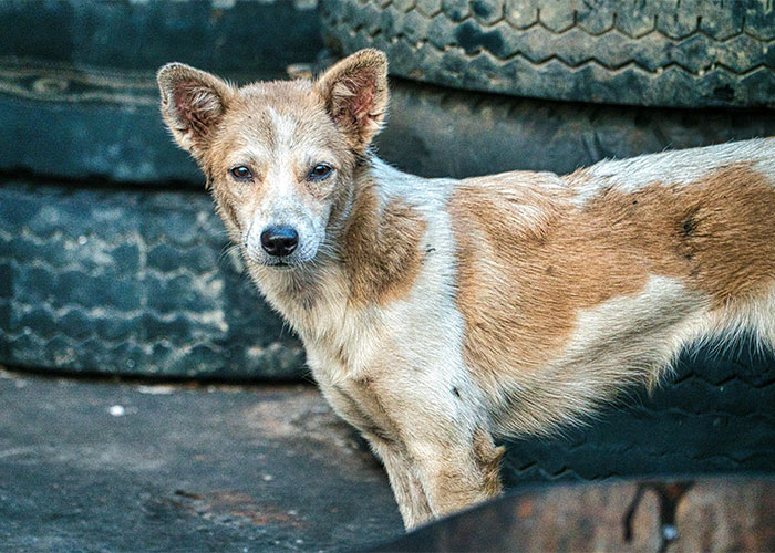 50 Things That Made People So Angry They Never Forgot About Them