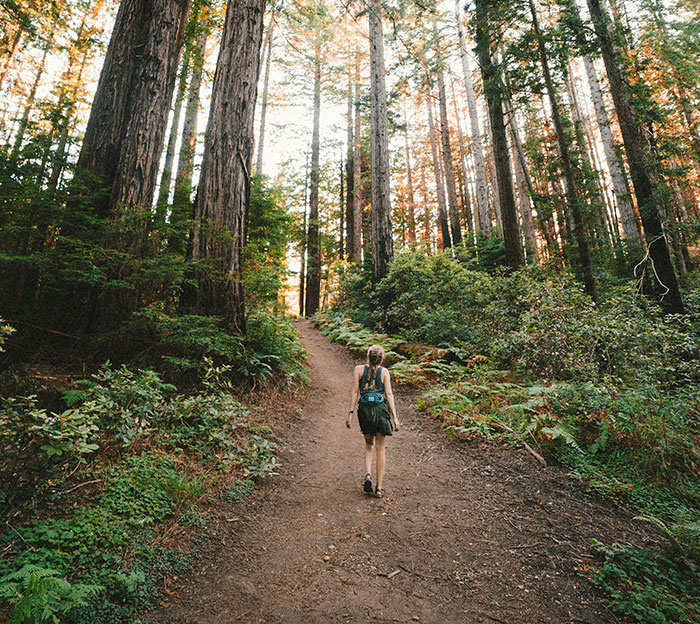 30 People Share What Really Happened To People Who Just Disappeared