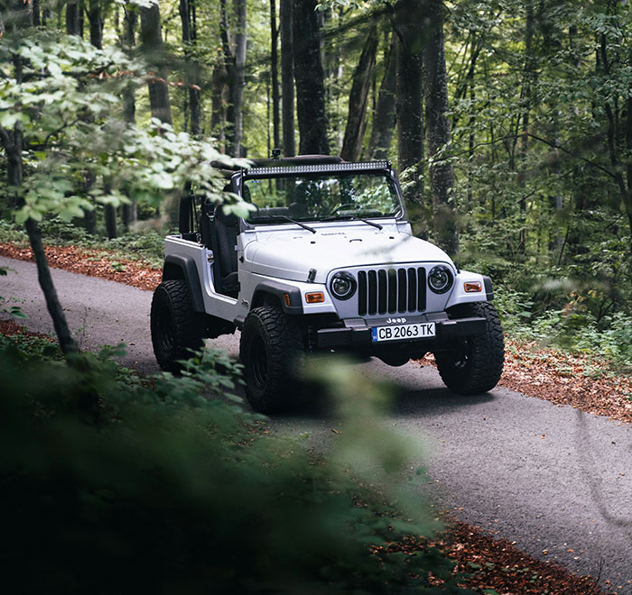 30 People Share What Really Happened To People Who Just Disappeared