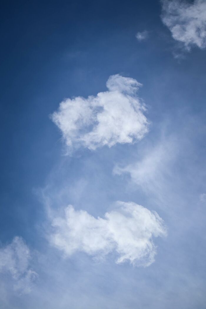 “Cows Have Accents”: 40 Fun Facts “No One Asked For,” But You Might Still Enjoy