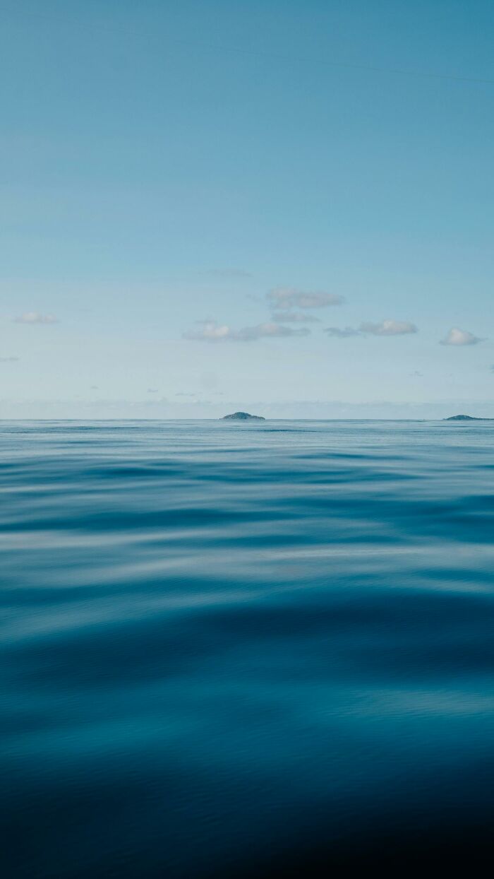 Blue Whales Returned To Seychelles: Scientists Recorded 23 Species During Their Surveys Blue Whales Returned To Seychelles: Scientists Recorded 23 Species During Their Surveys