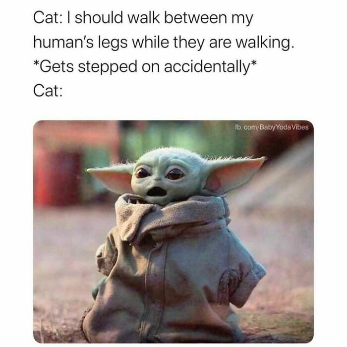 Cute Baby Yoda meme humorously depicting cat behavior, relatable for Disney adults and meme lovers.