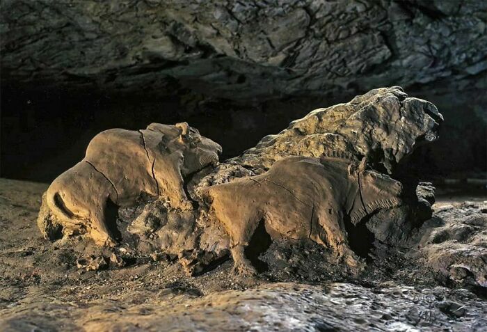 14000 Years Old Bisons Sculptures Found In Le Tuc D'audoubert Cave. Ariege, France