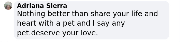 &ldquo;I&rsquo;m Gonna Go Cry&rdquo;: Man&rsquo;s Photo Recreation With Late Childhood Cat Has The Internet Tearing Up