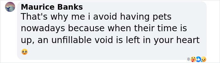 &ldquo;I&rsquo;m Gonna Go Cry&rdquo;: Man&rsquo;s Photo Recreation With Late Childhood Cat Has The Internet Tearing Up