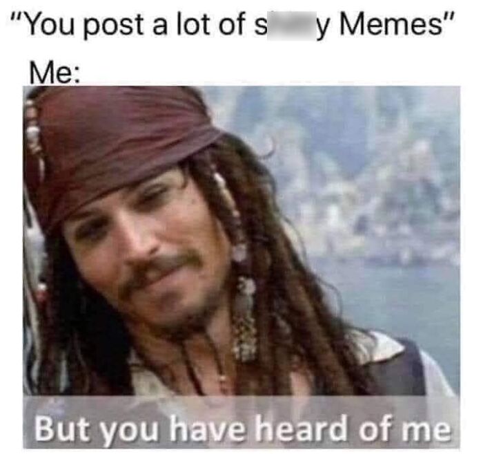 Pirate-themed meme with a humorous caption, perfect for Disney adults and meme enthusiasts.