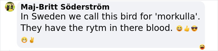 American Woodcock Becomes Internet&rsquo;s Favorite With Its Weird Way Of Walking