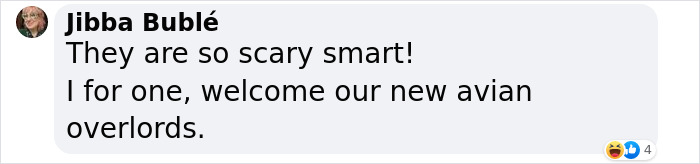 Groundbreaking Study Reveals Crows Can Count&mdash;And Out Loud, No Less