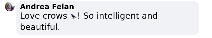 Groundbreaking Study Reveals Crows Can Count&mdash;And Out Loud, No Less