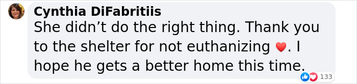 Woman Stunned To Find Her Dog Up For Adoption A Year After She Had Him Put Down Woman Stunned To Find Her Dog Up For Adoption A Year After She Had Him Put Down