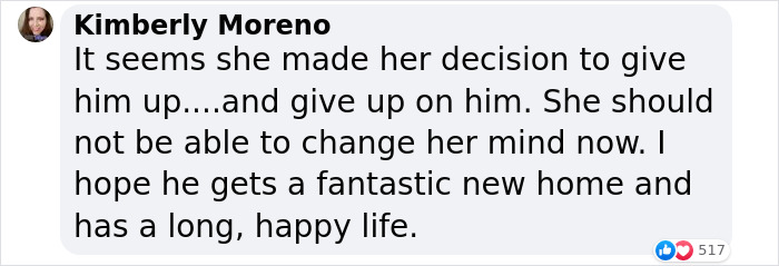 Woman Stunned To Find Her Dog Up For Adoption A Year After She Had Him Put Down Woman Stunned To Find Her Dog Up For Adoption A Year After She Had Him Put Down