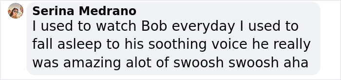 Man Thinks He Can&rsquo;t Paint Because He&rsquo;s Colorblind, Bob Ross Wholesomely Proves Him Wrong