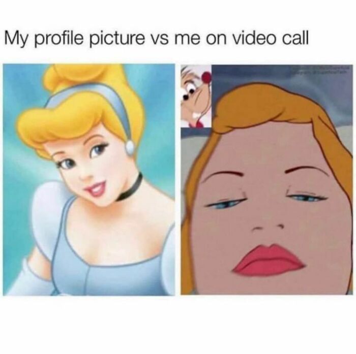 Disney meme comparing a glamorous profile picture to an unflattering video call image.