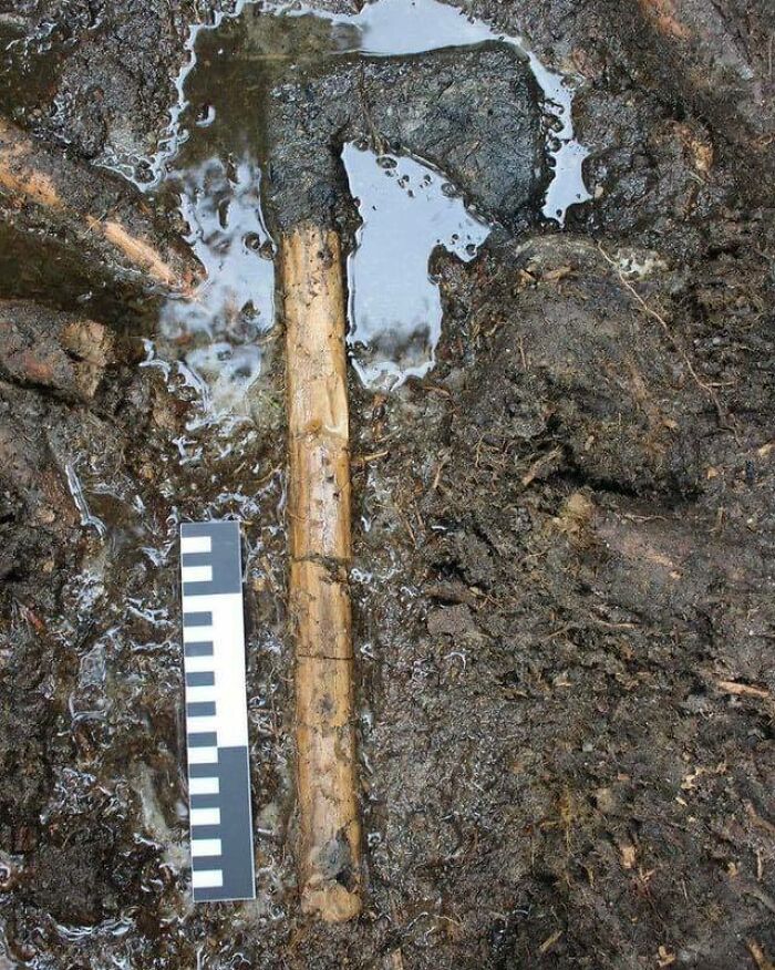 Medieval Ax With A Preserved Wooden Handle Discovered On The Island Of Ledniczka In Poland