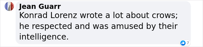 Groundbreaking Study Reveals Crows Can Count&mdash;And Out Loud, No Less
