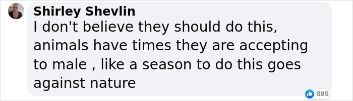 World&rsquo;s First Jaguar Cub Born By Artificial Insemination Was Eaten By Mom, Scientists Persevere