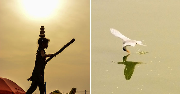 Extraordinary In Ordinary: 30 Powerful Moments That I Captured In Mundane Settings