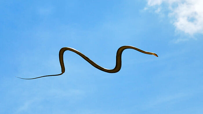 “Pics Or It Never Happened”: 50 Things That Might Be Hard To Believe Without Evidence