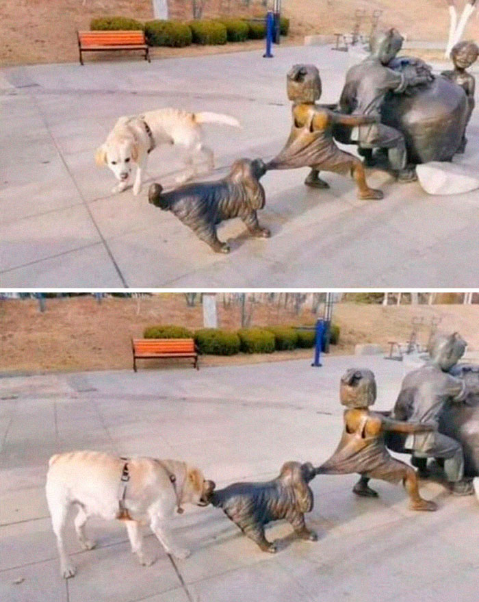 “Pics Or It Never Happened”: 50 Things That Might Be Hard To Believe Without Evidence