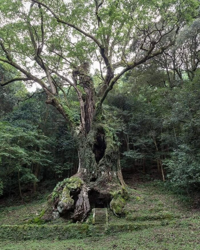 “Pics Or It Never Happened”: 50 Things That Might Be Hard To Believe Without Evidence