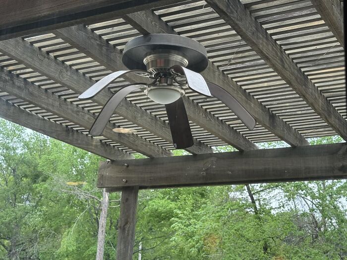 “Pics Or It Never Happened”: 50 Things That Might Be Hard To Believe Without Evidence