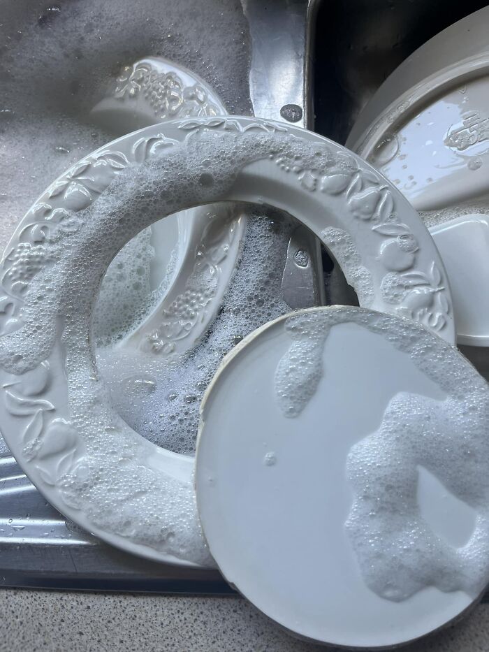 “Pics Or It Never Happened”: 50 Things That Might Be Hard To Believe Without Evidence